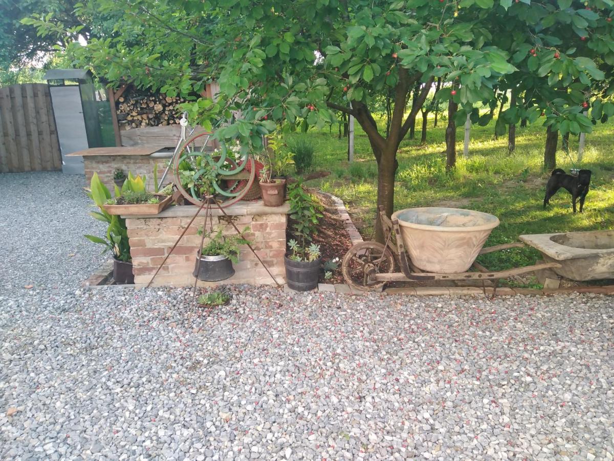 B&B Majhen Kopacevo Exterior photo