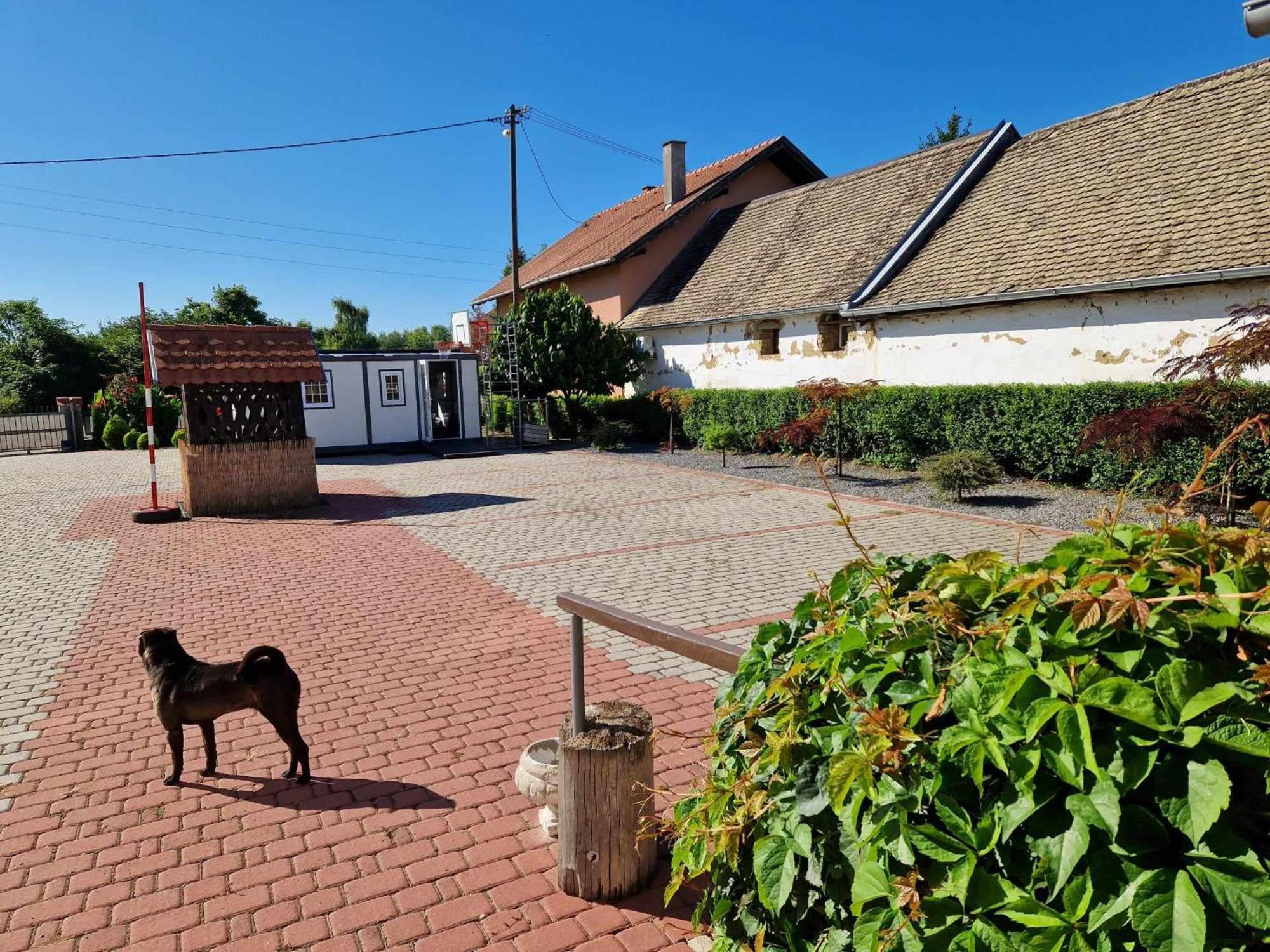 B&B Majhen Kopacevo Exterior photo